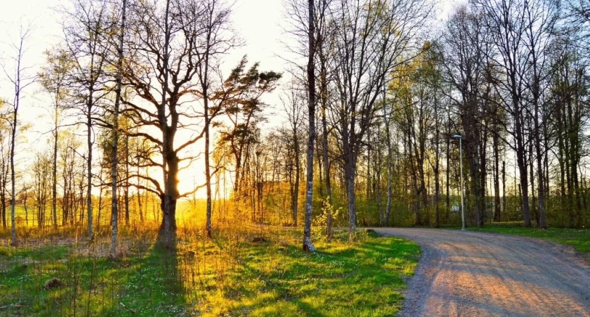 Weekend w powiecie nowodworskim zapowiada się przeważnie słonecznie z temperaturą maksymalną do 27°C. W niedzielę może popadać