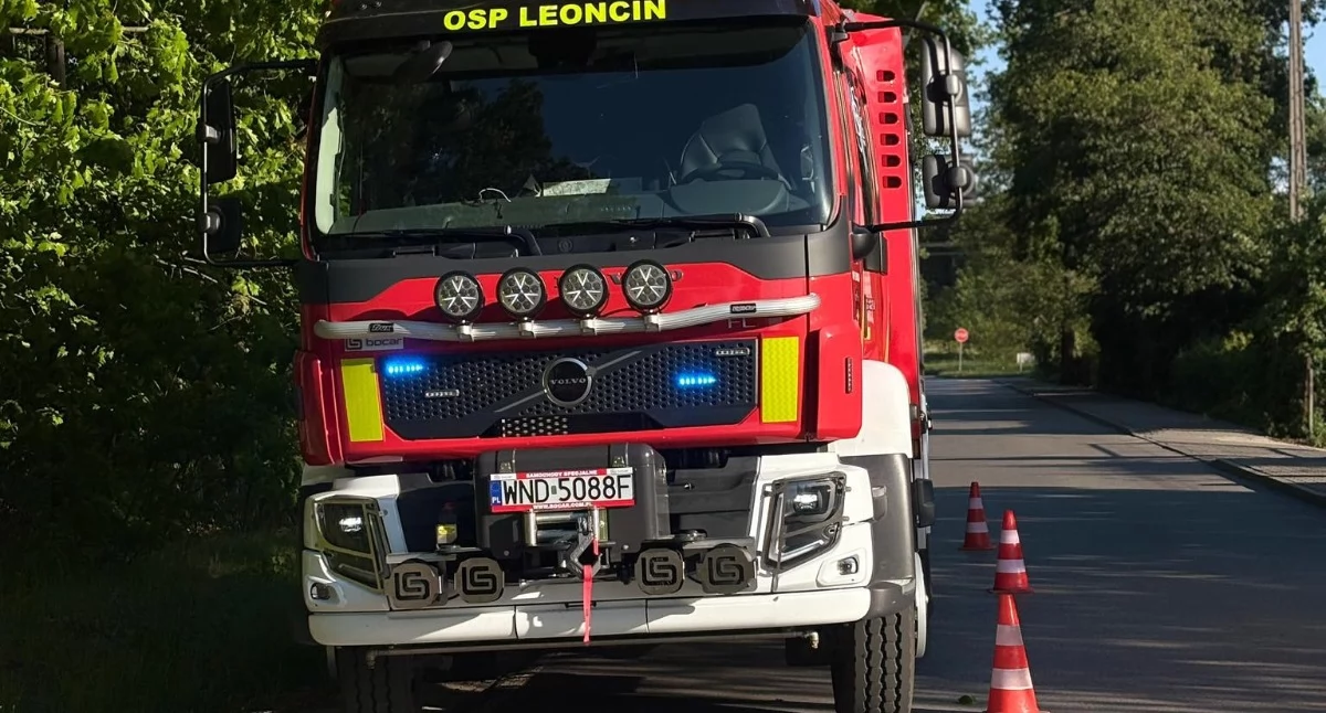 Leoncin. W Michałowie drzewo przewróciło się na drogę i przystanek autobusowy. Interweniowali strażacy ochotnicy