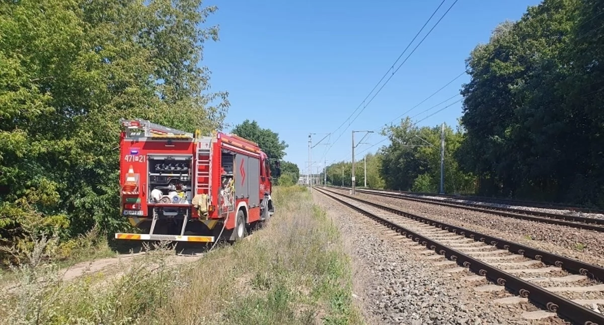 Nasielsk. Pożar 1500 m2 trawy i zarośli w Kątnych w pobliżu torów kolejowych. Interweniowało pięć zastępów straży pożarnej