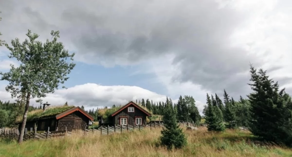 Weekend w powiecie nowodworskim zapowiada się pochmurnie z opadami deszczu oraz temperaturą maksymalną do 20°C