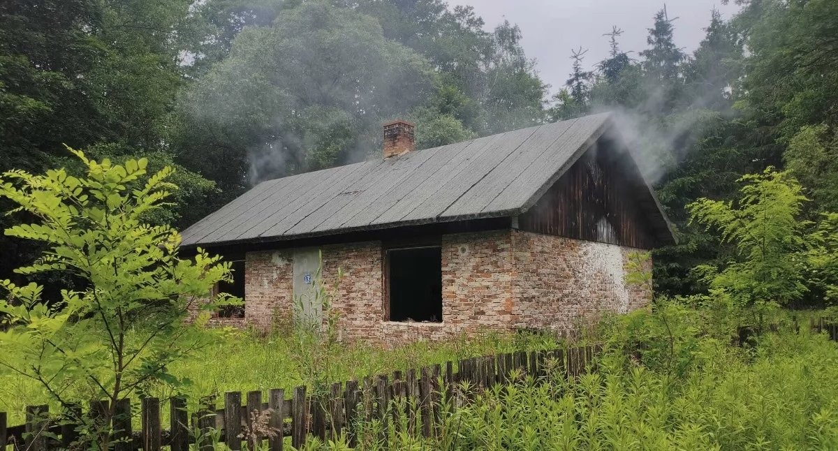 Czosnów. Pożar pustostanu w Wierszach przy Armii Krajowej. Z ogniem walczyło sześć zastępów straży pożarnej