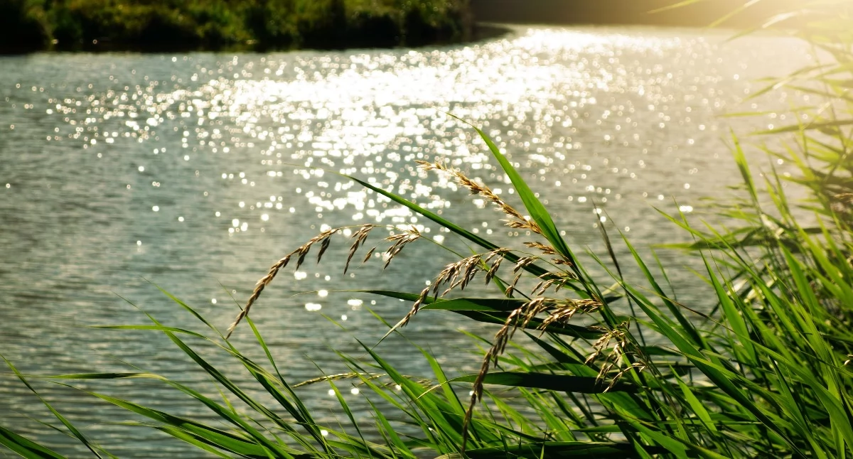 Pogoda dla powiatu nowodworskiego. Upał do 32°C, potem burze i wyraźne ochłodzenie