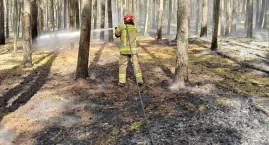 Nasielsk. Pół hektara lasu w ogniu. W Andzinie pięć &hellip;