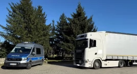 Mandaty i zatrzymany dowód rejestracyjny. Kontrole c…