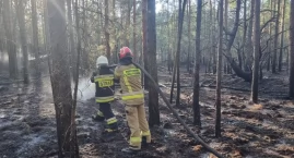 Czosnów. W wyniku pożaru lasu w Kazuniu Polskim spło&hellip;