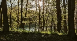 Weekend w powiecie nowodworskim z temperaturą od 27°&hellip;