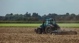 Kiedy lato zamienia się w koszmar