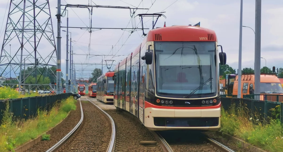 Wszystkich Świętych w Gdańsku: zmiany w organizacji ruchu, dodatkowe kursy autobusów i tramwajów