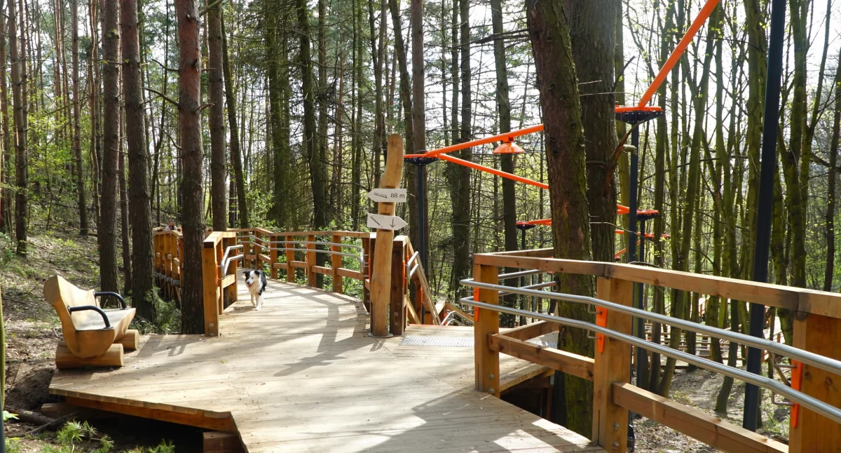 Gdyński park z wyróżnieniem za najlepszą przestrzeń w województwie