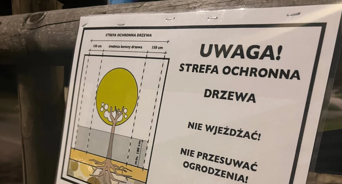 Zieleń w końcu będzie chroniona? Gdańska Karta dla Drzew wchodzi w życie