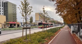 Przymorze Wielkie i Stogi. Kto kandyduje do Rady Dzielnicy i kiedy odbędą się wybory?