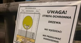 Zieleń w końcu będzie chroniona? Gdańska Karta dla Drzew wchodzi w życie