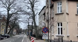 Dorodny buk z centrum Sopotu do wycinki. Zamkną ruch&hellip;