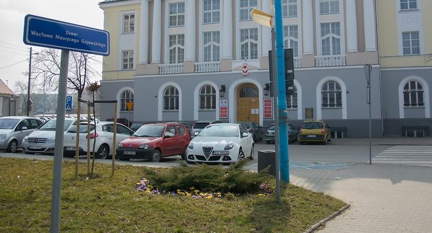 Skierniewice toną w krokusach