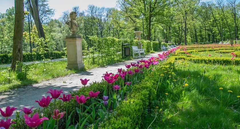 Ogród francuski w Skierniewicach cały w tulipanach