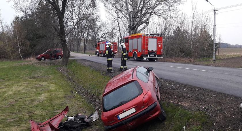 Zdarzenie drogowe w Bolimowskiej Wsi