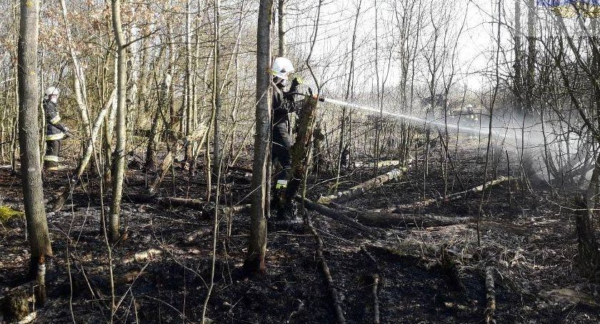 Rozległy pożar w miejscowości Turowa Wola