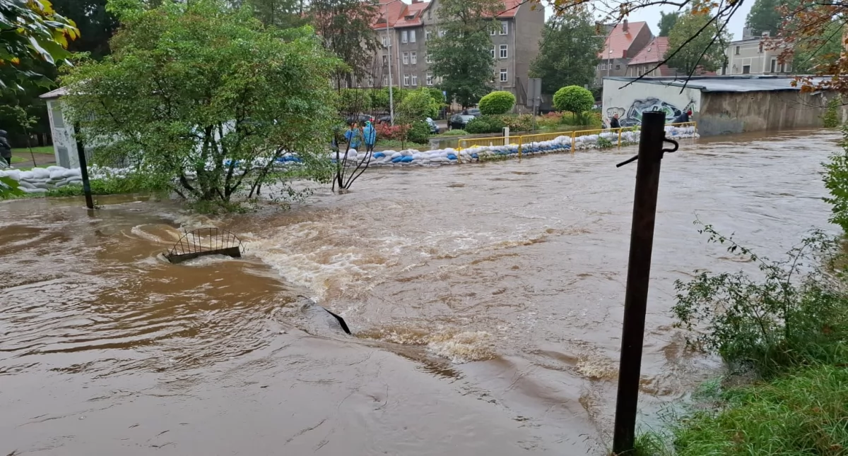 Trzëgard na pòmòc zalónym na pôłnim Pòlsczi