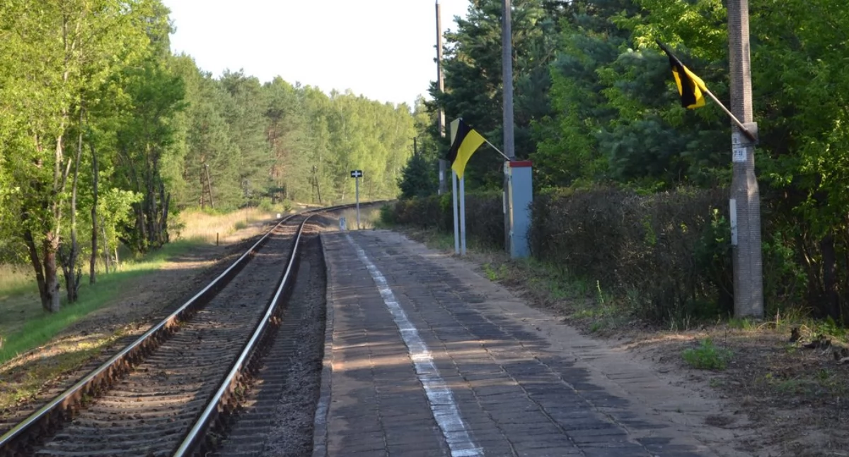 Môsz aùtół? Jedzë baną