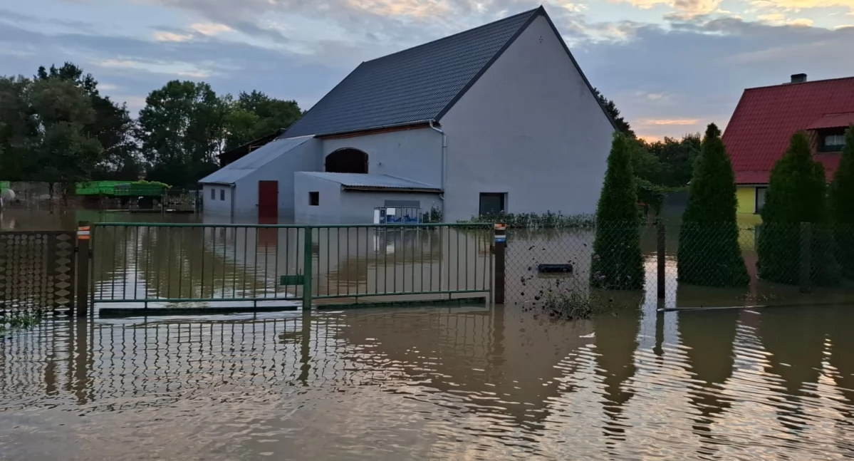 Jak Kaszëbi pòmòc rozmieją