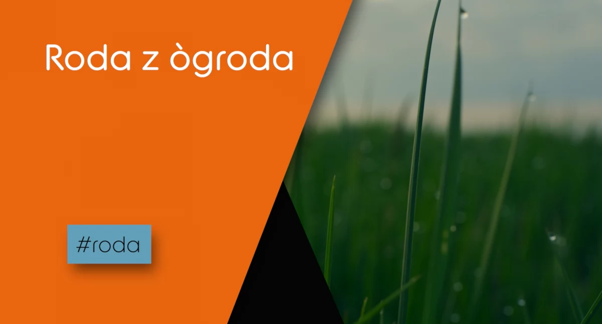 Pszmiél-gnójka
