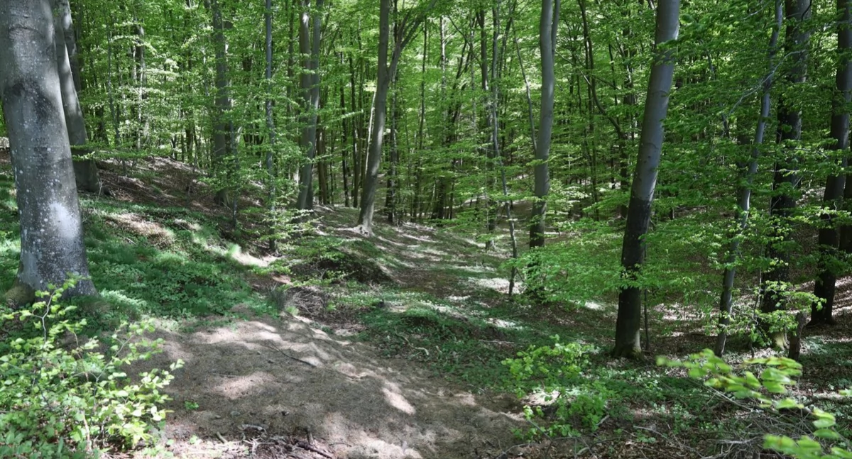 Sztrid ò Kaszëbsczi Nôrodny Park