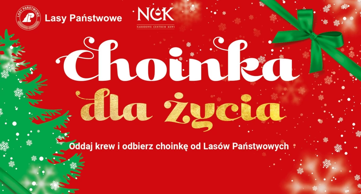 Danka za krew w Céwicach