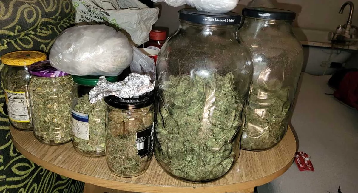 Szandarzë trafilë na pół kilograma marihuanë