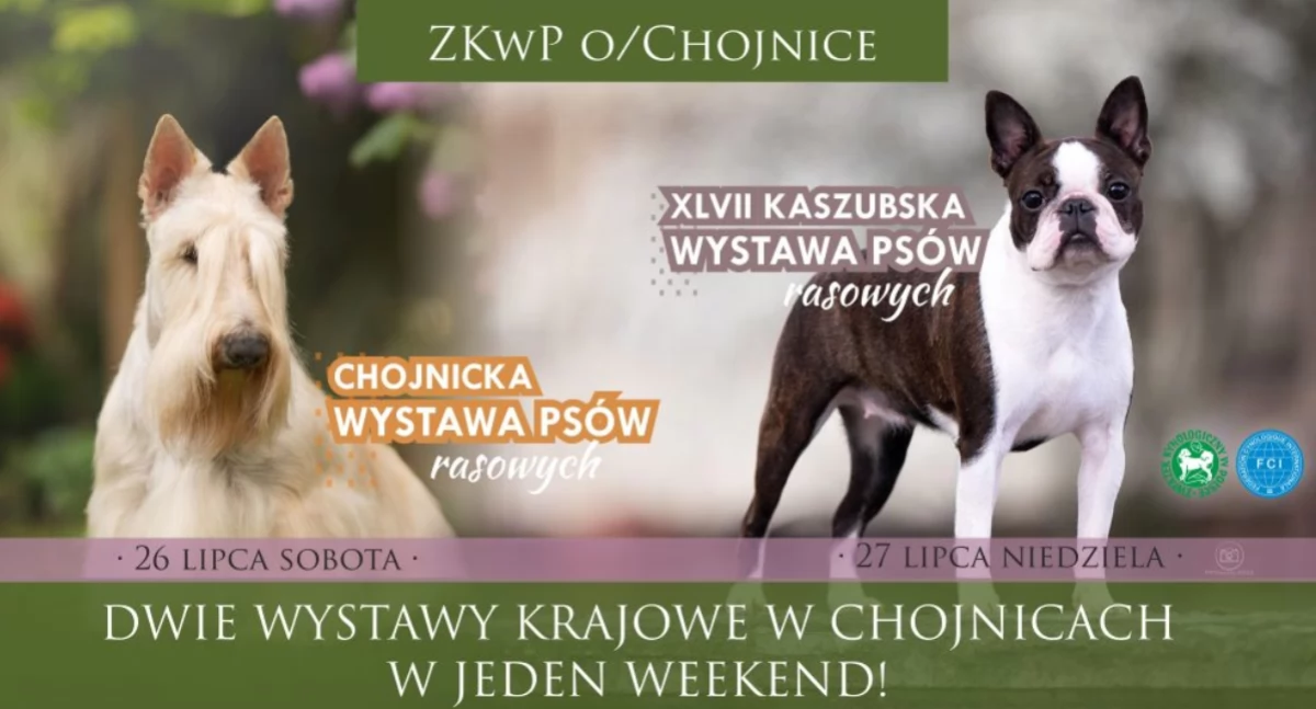Tósze rządzëłë w Parkù Tësąclatégò w Chònicach