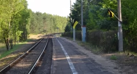 Môsz aùtół? Jedzë baną