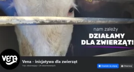 To nie bëła zbiérnô jachta, le sztërë òsóbné