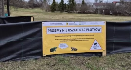 Czôrné płotczi w Mirochòwie