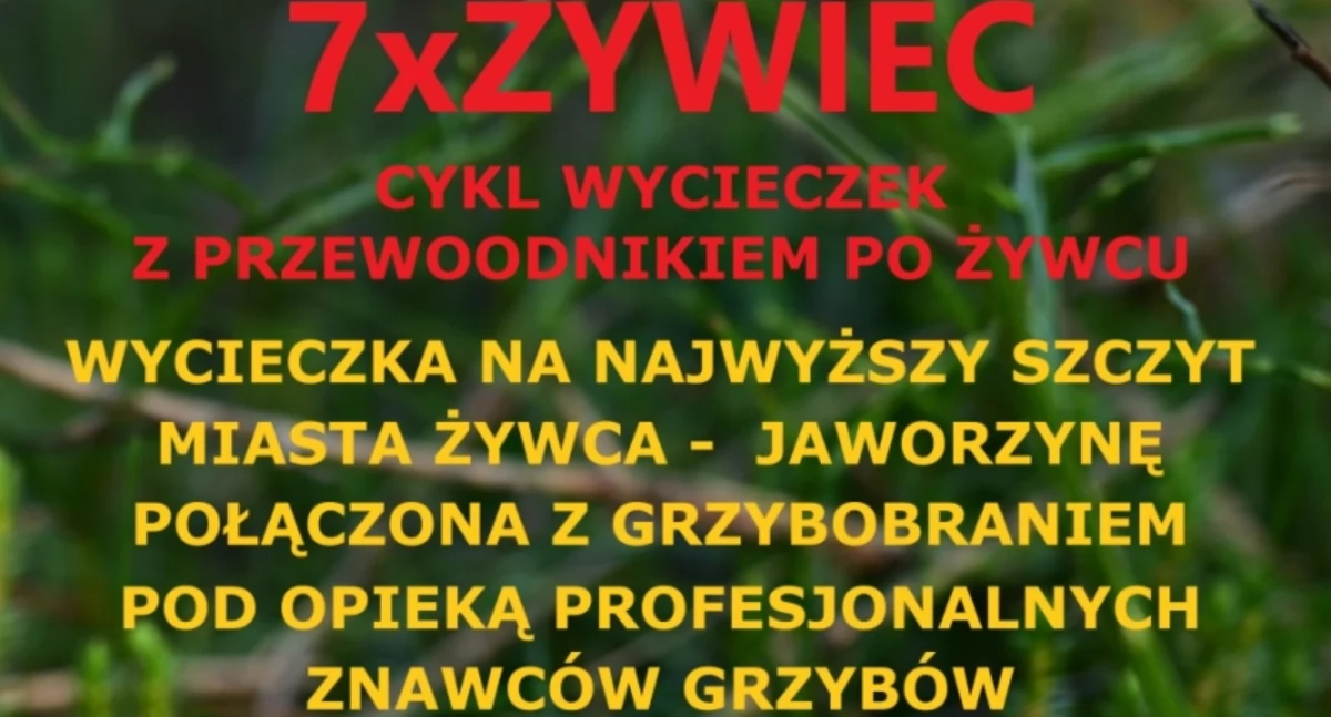Górska wyprawa na Jaworzynę – szlakiem „7 razy Żywiec”