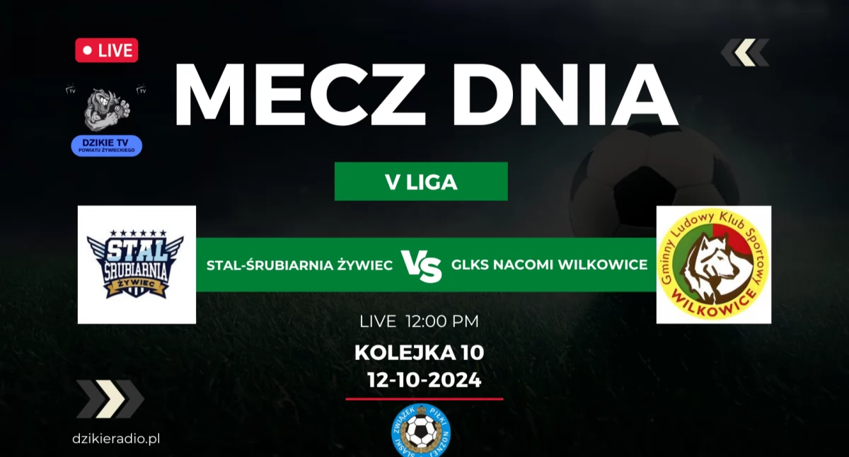 Transmisja meczu Stal-Śrubiarnia Żywiec vs GLKS Nacomi Wilkowice
