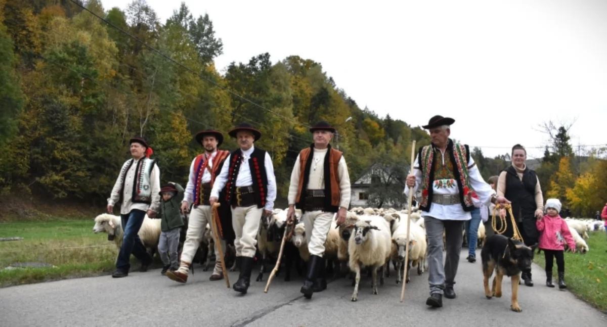 Łossod- Impreza regionalna w Cięcinie zorganizowana przez bacę Jana Stopkę