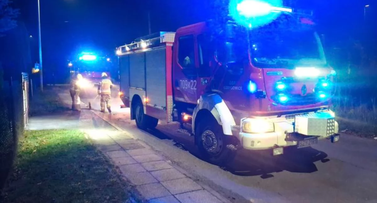 Interwencja Straży Pożarnej w Łodygowicach