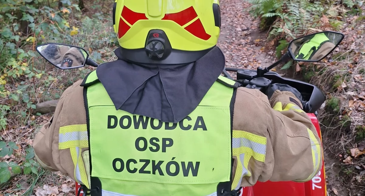 Akcja poszukiwawcza w masywie leśnym koło Wilczego Jaru zakończona sukcesem! Zaginiona kobieta odnaleziona po intensywnych poszukiwaniach