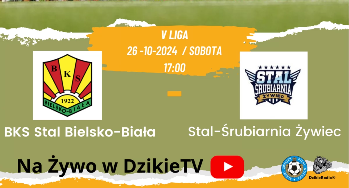 Transmisja meczu BKS Stal Bielsko-Biała vs Stal-Śrubiarnia Żywiec na DzikieTV - 26 października 2024 o 17:00. Kibicuj na żywo!