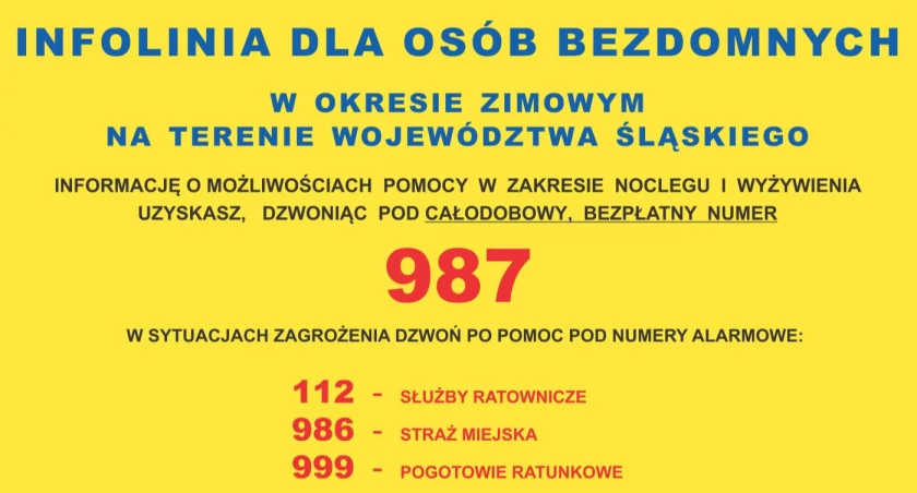 Infolinia 987 dla osób bezdomnych w woj. śląskim - wsparcie i informacje o miejscach noclegowych. Dyżury i pomoc online. Pełny wykaz na stronie urzędu.