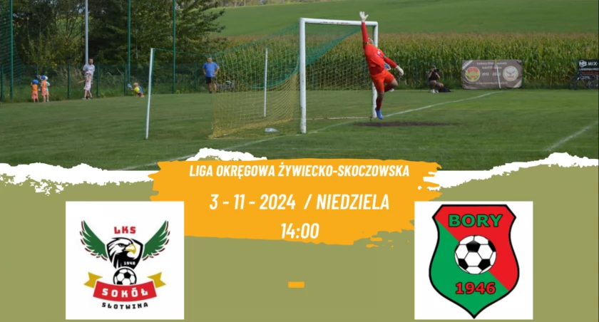 Transmisja na żywo z meczu Ligi Okręgowej Żywiecko-Skoczowskiej: Sokół Słotwina vs Bory Pietrzykowice | 3 listopada, godz. 14:00 - DzikieTV