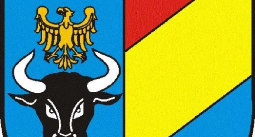 PROGRAM WSPÓŁPRACY POWIATU ŻYWIECKIEGO Z ORGANIZACJAMI POZARZĄDOWYMI NA ROK 2025