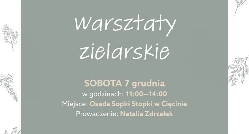 Darmowe warsztaty zielarskie w Osadzie Sopki Stopki - tworzenie kosmetyków zero waste z lokalnych ziół. Wyjątkowa okazja na naukę i inspirację. Zapisz się już teraz!