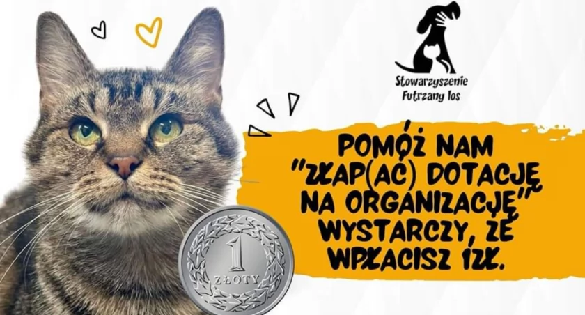 Zwierzaki ze schroniska w Żywcu proszą o pomoc!