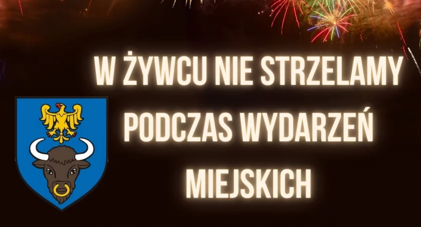 Sylwester bez fajerwerków- burmistrz przypomina o zakazie ich używania. 