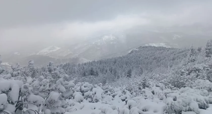 Śnieg nie straszny dla turystów! Pełne Szlaki i gorąca atmosfera - Wasze zdjęcia! 