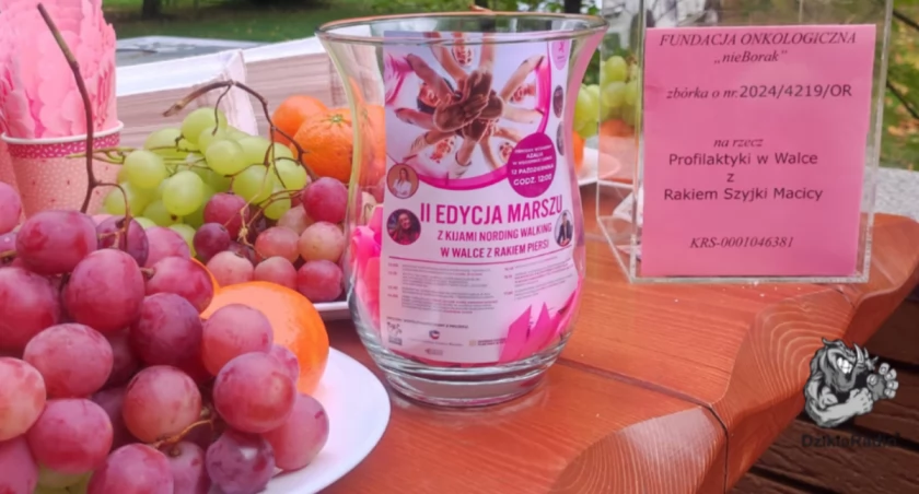 Wyróżnienie dla Fundacji Onkologicznej - nieBorak w konkursie „Opowiedz”