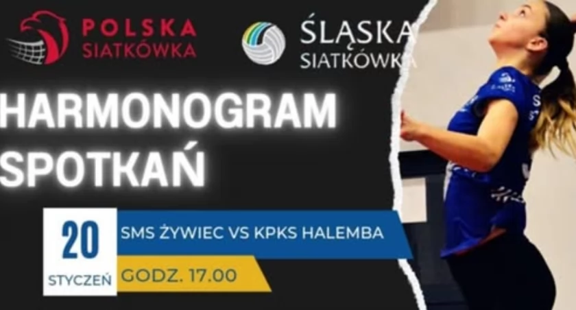 1/8 Mistrzostw Śląska Juniorek Młodszych w Siatkówce w Żywcu - Harmonogram, Rejony, Dlaczego Warto?