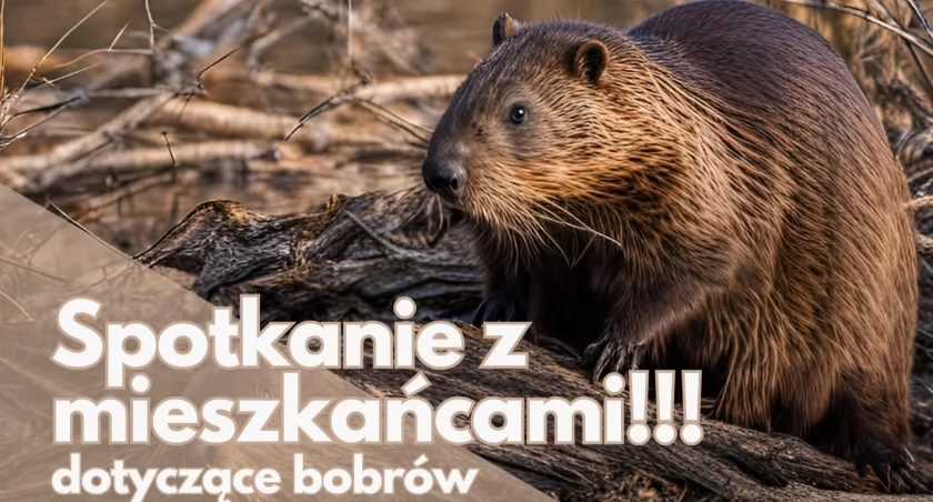 Spotkanie z mieszkańcami Pietrzykowic w sprawie bobrów