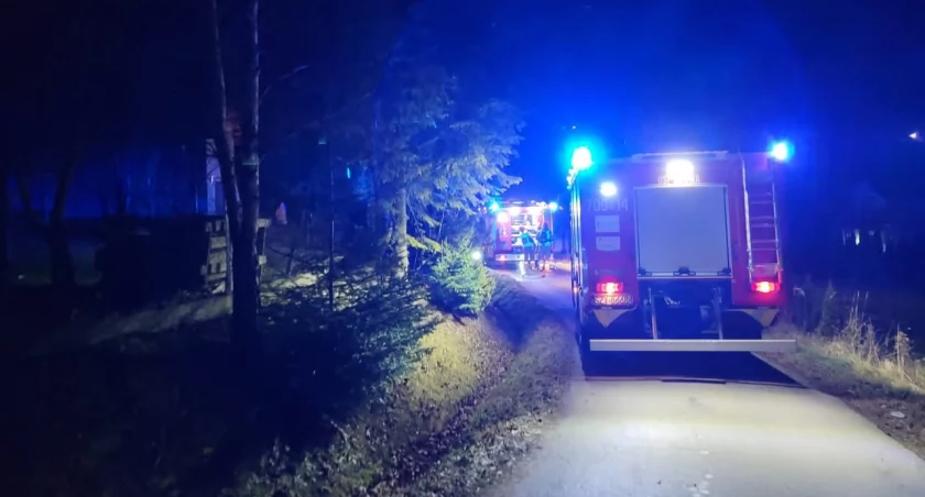 Jeleń uwięziony na ogrodzeniu w gminie Lipowa 