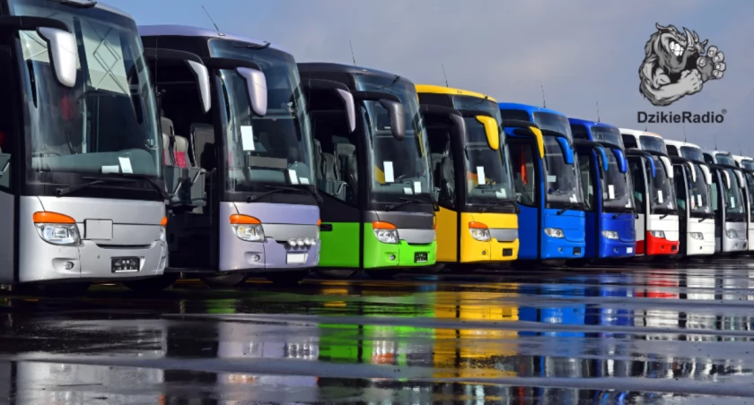 Podsumowanie działalności MZK Żywiec w 2024 roku.